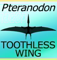Morphology and Taxonomy of Quetzalcoatlus Lawson 1975 (Pterodactyloidea: Azhdarchoidea)
