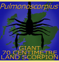 Megalograptus