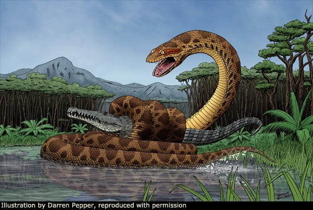 titanoboa vs deinosuchus