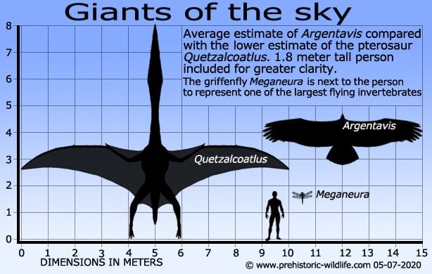 Tricky take-off limited pterosaur size