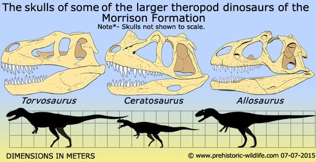 Torvosaurus