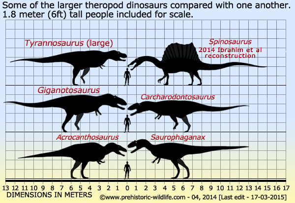 How the Giganotosaurus killed the T-Rex!, In-Depth Analysis