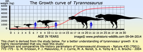 tyrannosaurus-growth.jpg