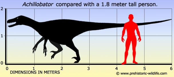 achillobator-size.jpg