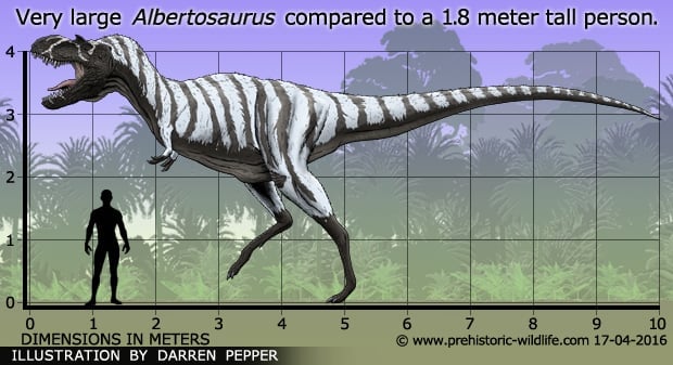 albertosaurus