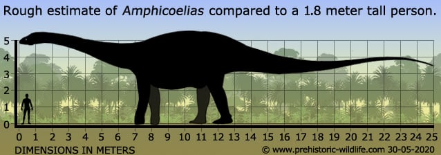 amphicoelias-size.jpg