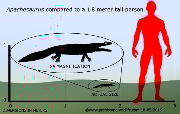 Apachesaurus