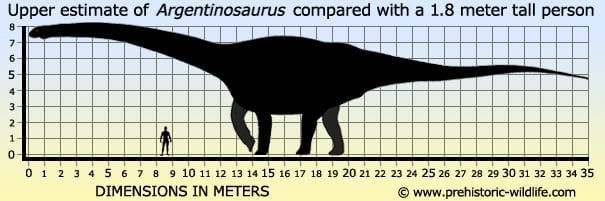 Argentinosaurus