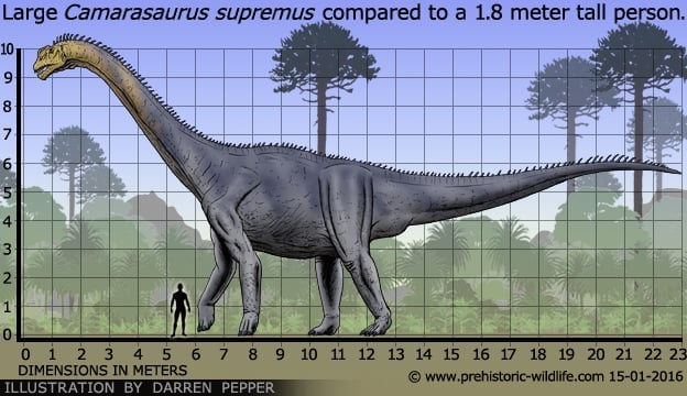 Resultado de imagen para camarasaurus prehistoric wildlife