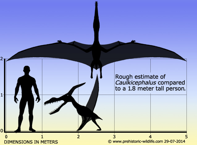 Caulkicephalus