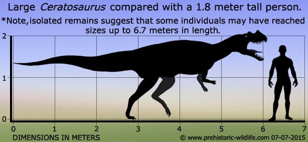 Ceratosaurus was a carnivorous theropod dinosaur in the Late