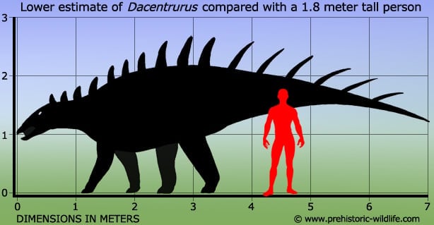 Resultado de imagen de dacentrurus