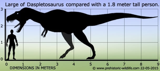 Daspletosaurus : tout savoir sur le cousin effrayant du T. rex