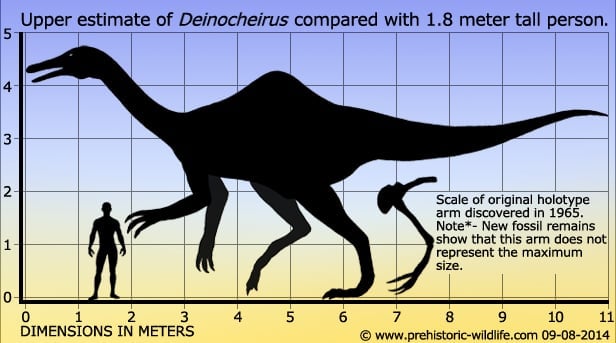 Deinocheirus mirificus, a prehistoric era dinosaur from