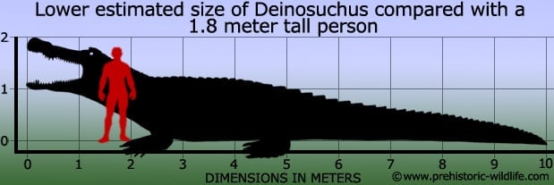 Deinosuchus - Dinosaur Park