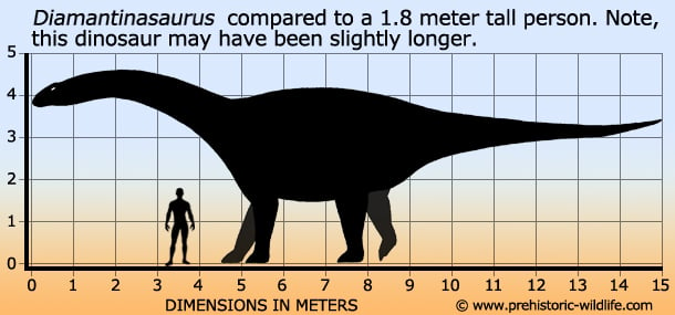 diamantinasaurus-size.jpg