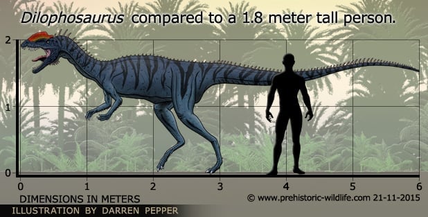 life size dilophosaurus