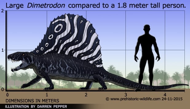 dimetrodon-size.jpg