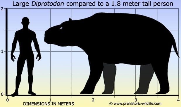 Diprotodon