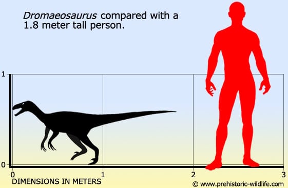 Resultado de imagen de dromaeosaurus prehistoric wildlife