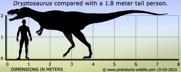 dryptosaurus-size.jpg