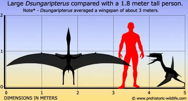 Size range of ten genera of pterosaurs used in this study with