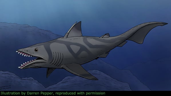 Prehistoric Shark