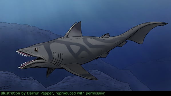 prehistoric shark