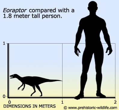 Resultado de imagen de eoraptor prehistoric wildlife