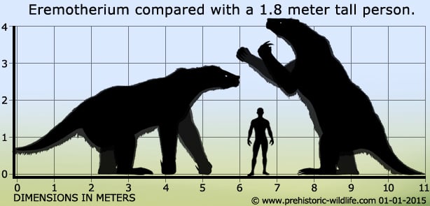 eremotherium-size.jpg