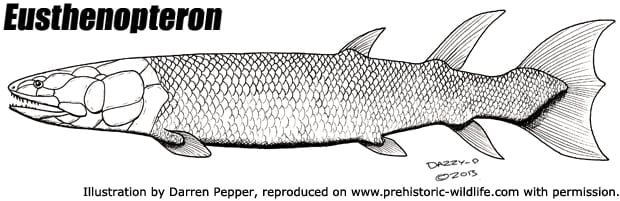 GIANTS IN A PREHISTORIC OCEAN!!! - Fish Feed and Grow