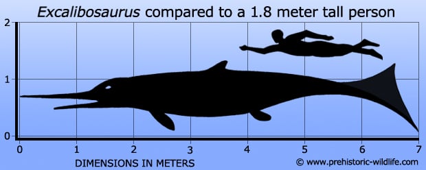 excalibosaurus-size.jpg