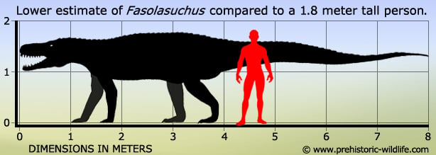 fasolasuchus-size.jpg