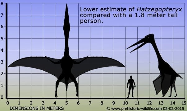 Flock of Hatzegopteryx #latecretaceous #mesozoic #pterosauria # pterodactyloidea #azhdarchidae #hatzegopteryx #romania by:Chase Stone