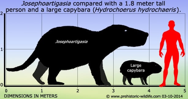 What kind of dinosaurs was the capybara? : r/capybara