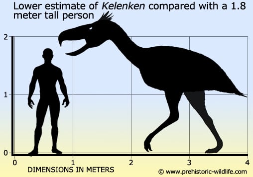 Kelenken
