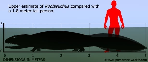 koolasuchus-size.jpg