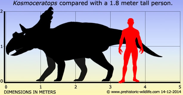 kosmoceratops-size.jpg