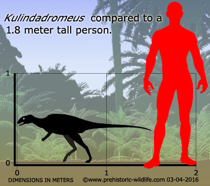 Resultado de imagen de kulindadromeus prehistoric wildlife