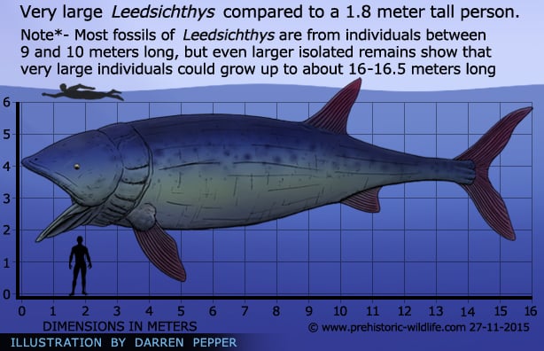 GIANTS IN A PREHISTORIC OCEAN!!! - Fish Feed and Grow