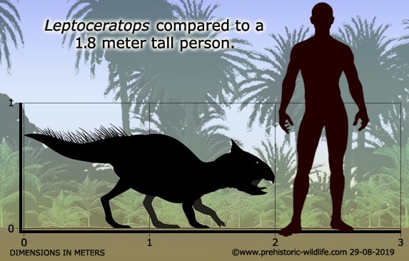 Resultado de imagen para leptoceratops prehistoric wildlife