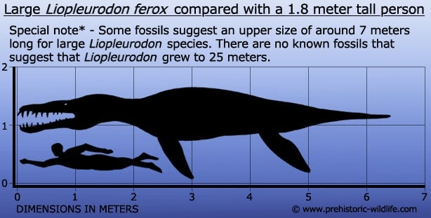 Liopleurodon