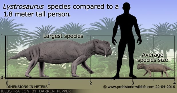 Lystrosaurus Lystrosaurus