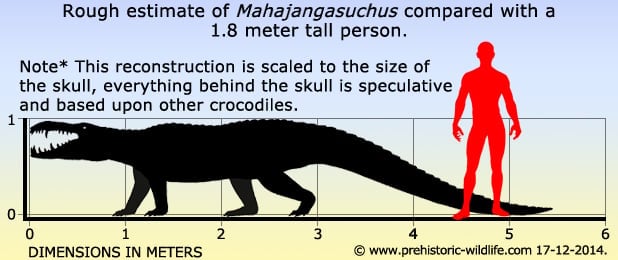 mahajangasuchus kaprosuchus size