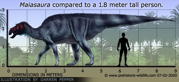 Resultado de imagen para maiasaura prehistoric wildlife