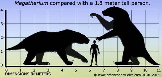 [Imagen: megatherium-size.jpg]