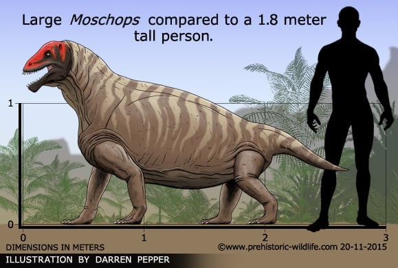 Moschops Moschops