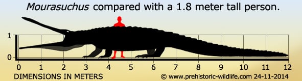 mourasuchus-size.jpg