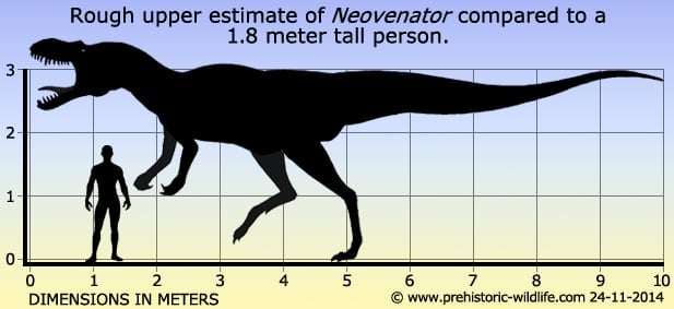 Resultado de imagen para neovenator prehistoric wildlife