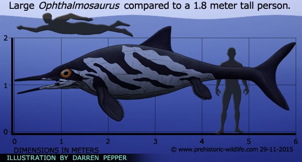 Resultado de imagen de ophthalmosaurus